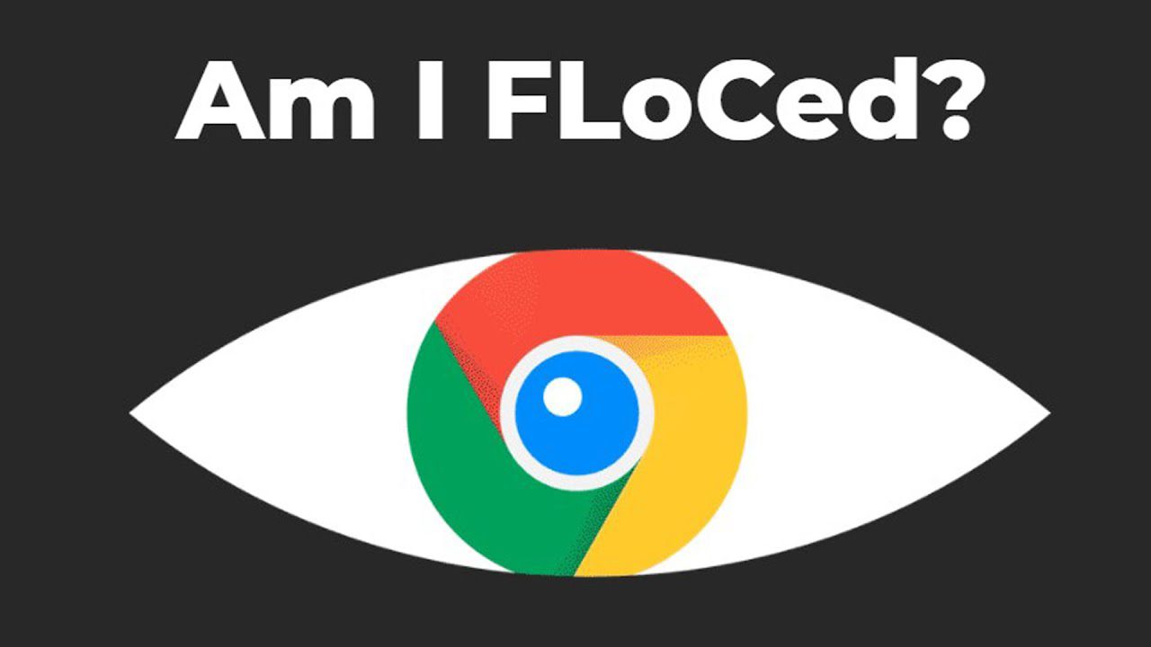 am i FLoCed de google